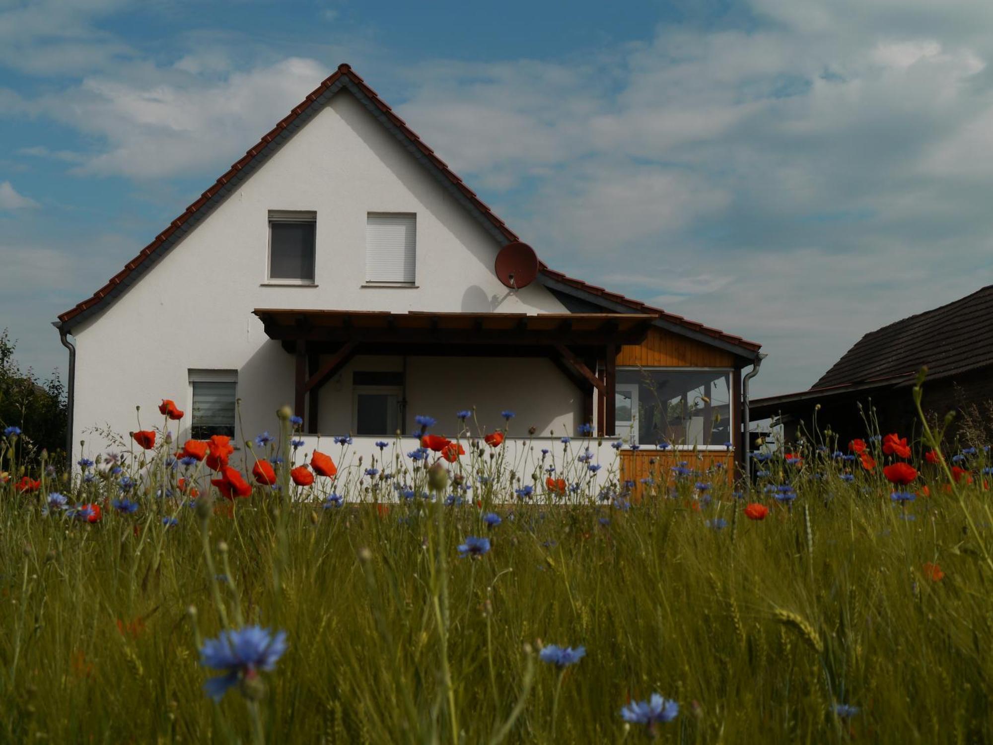 Ferienhaus-Uckermarkblick Rosenow  Exteriör bild