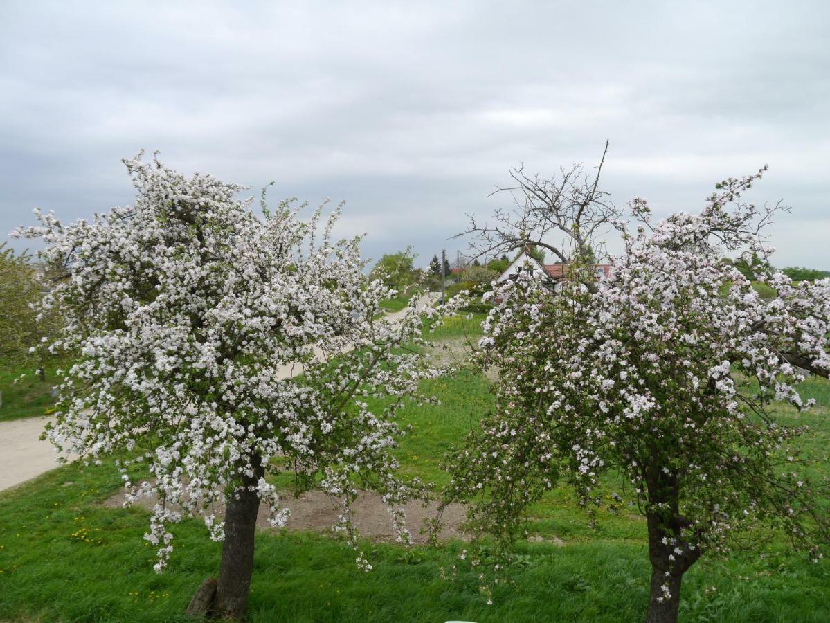 Ferienhaus-Uckermarkblick Rosenow  Exteriör bild