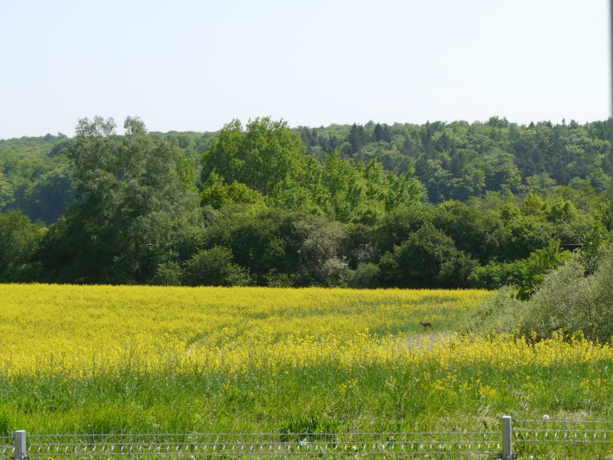 Ferienhaus-Uckermarkblick Rosenow  Exteriör bild